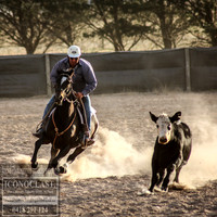 GoulburnCampdraft2018_0156
