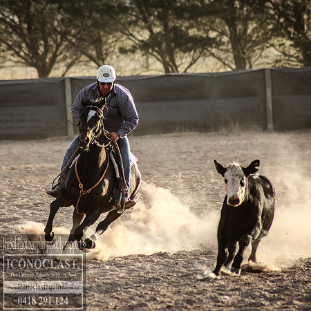 GoulburnCampdraft2018_0156