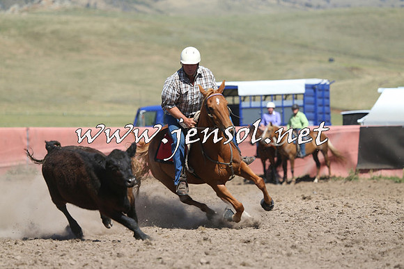 AdaminabyCampdraft2014_0975-1
