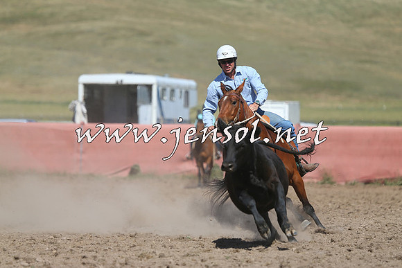 AdaminabyCampdraft2014_0941-1