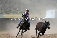 AdaminabyCampdraft2014_0909-1