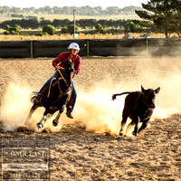 GoulburnCampdraft2018_0117