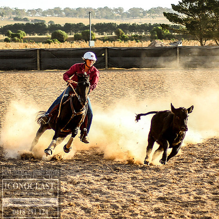 GoulburnCampdraft2018_0117