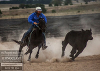 GoulburnCampdraft2018_0232