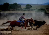 GoulburnCampdraft2018_0214