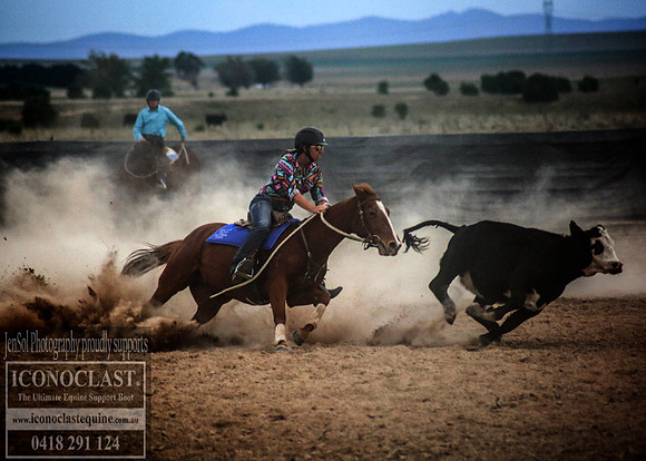 GoulburnCampdraft2018_0203