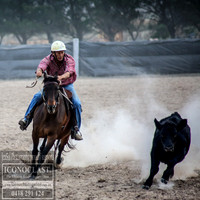 GoulburnCampdraft2018_0182