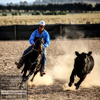 GoulburnCampdraft2018_0147