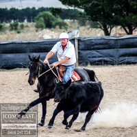 GoulburnCampdraft2018_0173