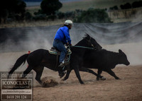 GoulburnCampdraft2018_0239