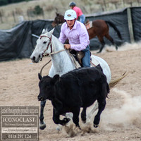 GoulburnCampdraft2018_0228