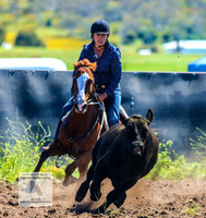 AdaminabyCampdraftJan2024_0724