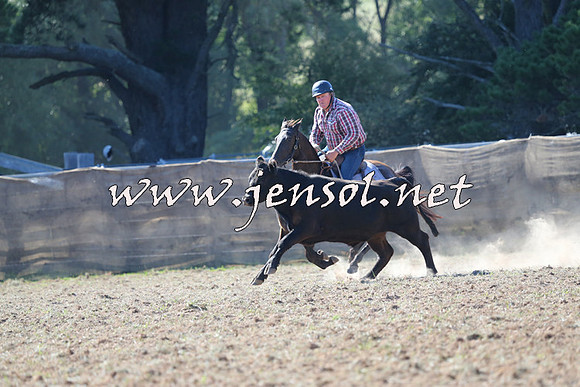 Taralga2015_0511