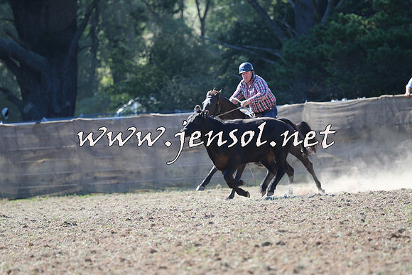 Taralga2015_0513