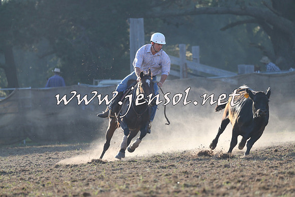 Taralga2015_0204