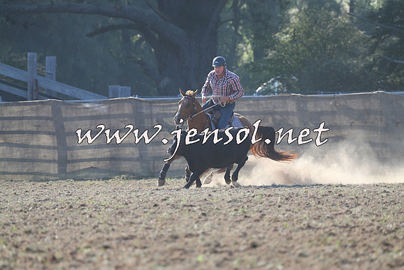 Taralga2015_0297
