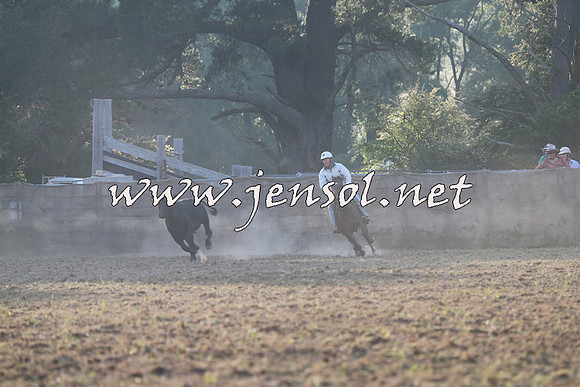 Taralga2015_0135