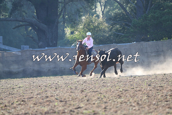 Taralga2015_0255