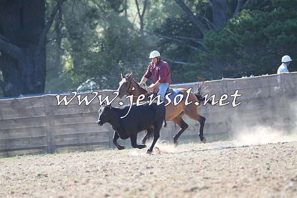 Taralga2015_0528