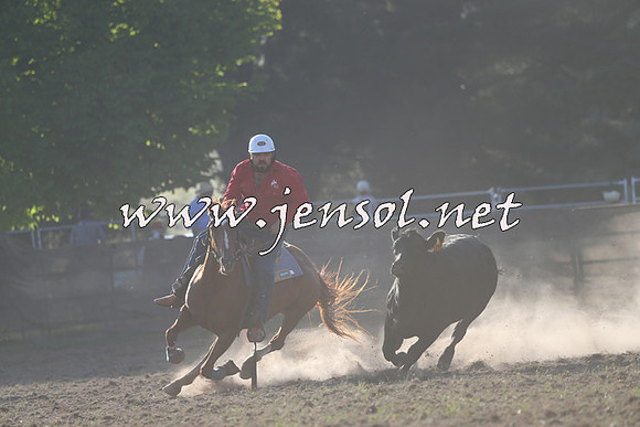 Taralga2015_0220