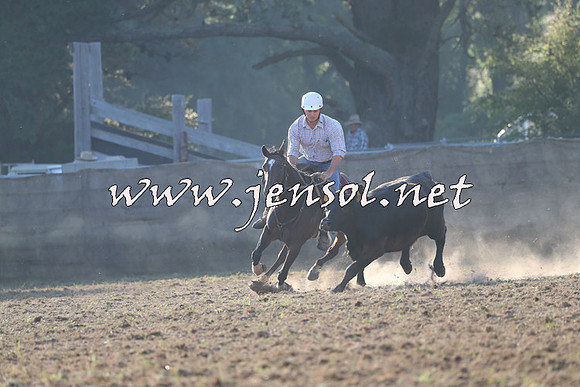 Taralga2015_0195
