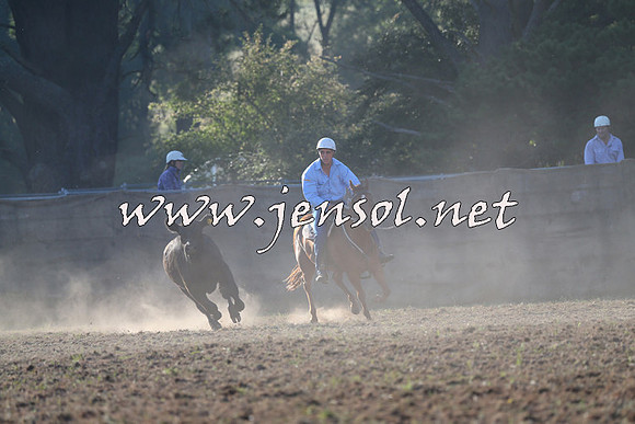Taralga2015_0230