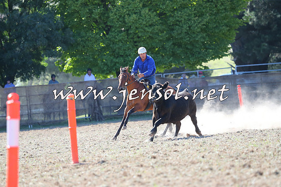 Taralga2015_0561