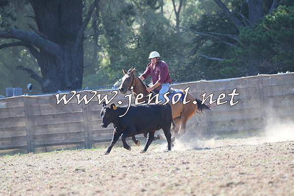 Taralga2015_0527