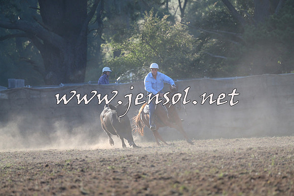 Taralga2015_0231