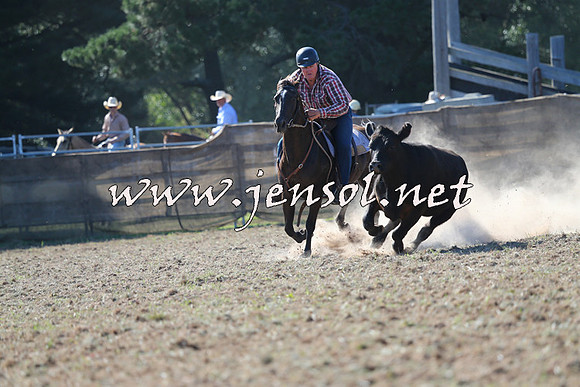 Taralga2015_0523