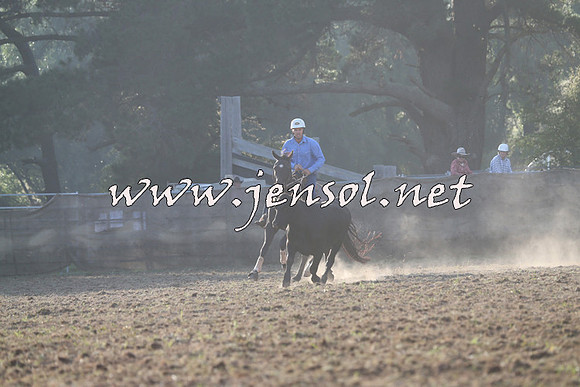 Taralga2015_0179