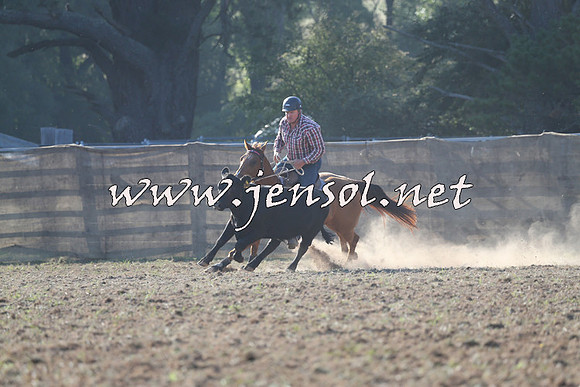 Taralga2015_0298