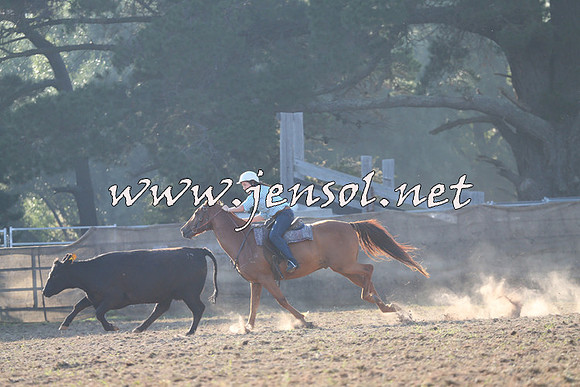 Taralga2015_0228