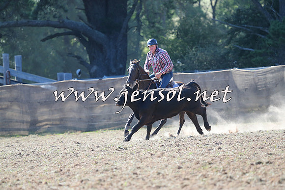 Taralga2015_0518