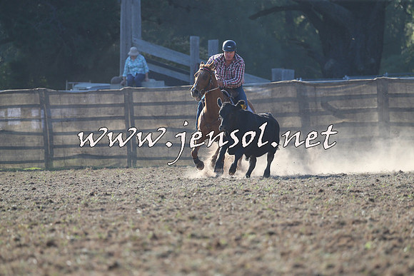 Taralga2015_0306