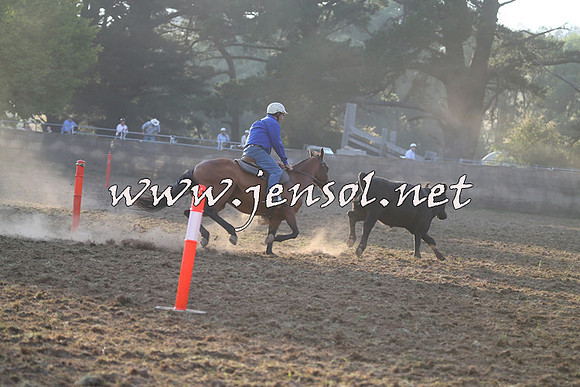 Taralga2015_0131