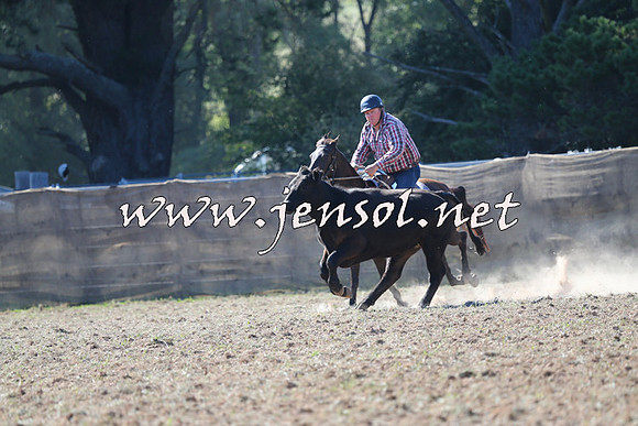Taralga2015_0516
