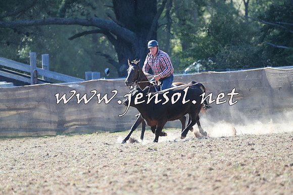 Taralga2015_0517