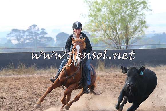 BraidwoodCampdraft2014_0078