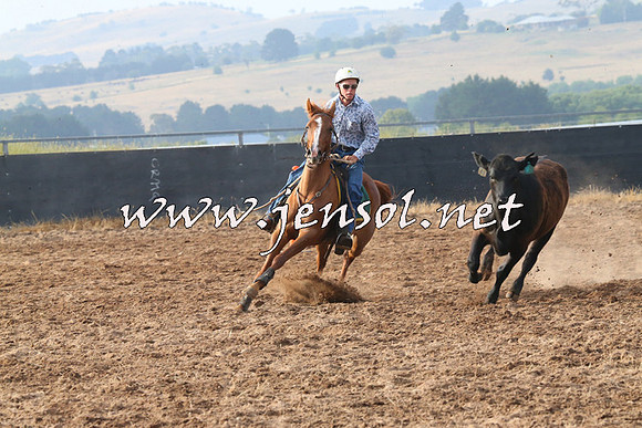 BraidwoodCampdraft2014_0088