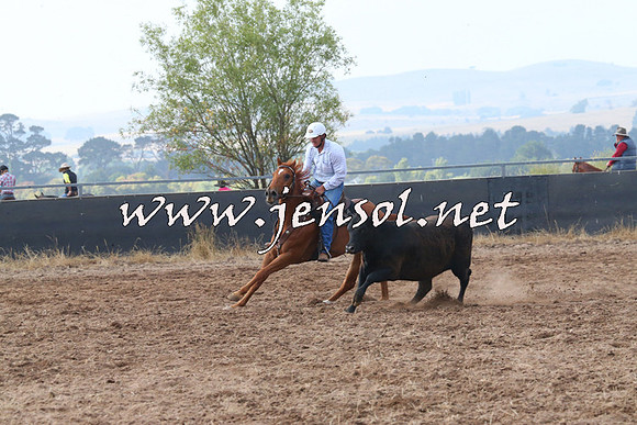 BraidwoodCampdraft2014_0184
