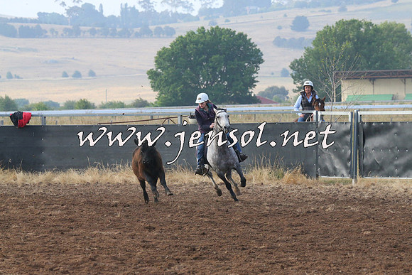 BraidwoodCampdraft2014_0039