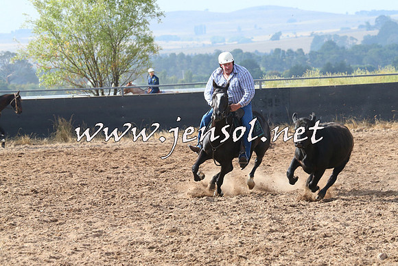 BraidwoodCampdraft2014_0209