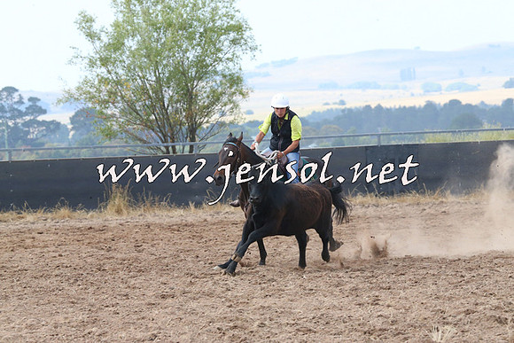 BraidwoodCampdraft2014_0242