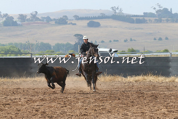 BraidwoodCampdraft2014_0158
