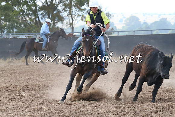 BraidwoodCampdraft2014_0181