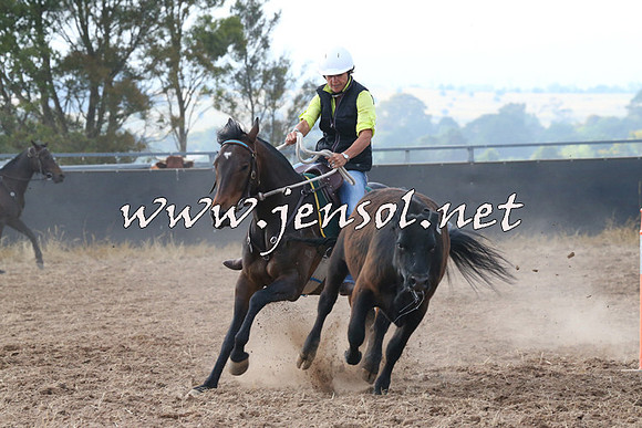 BraidwoodCampdraft2014_0180