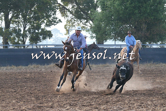 BraidwoodCampdraft2014_0013