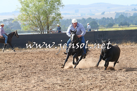 BraidwoodCampdraft2014_0211
