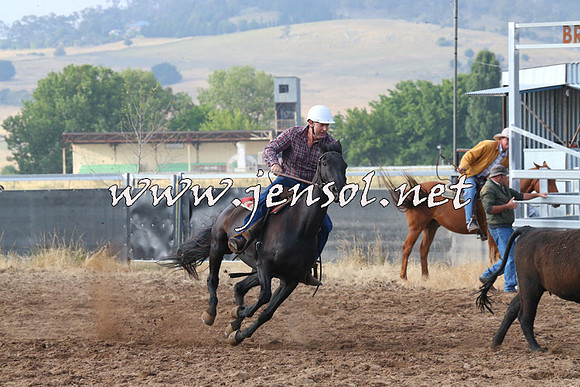 BraidwoodCampdraft2014_0103